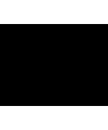 SNC01515