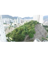 DJI_0466