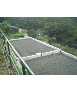 Kadoorie Farm 28-6-06_w