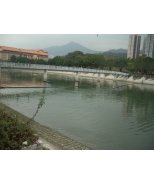 CIMG2009_w