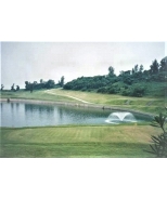 Photo ref photo