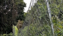 Rockfall Barrier - Gleneagle Hong Kong Hospital
