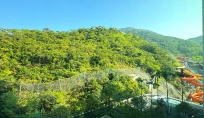 Rockfall barrier RMC300A long term 7 Dec 2024