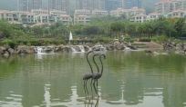DSC03674