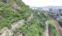Rockfall barrier_CUHK