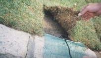 Shek O_Aug 2002