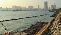 DSC03527