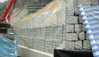 DSC00253_w