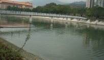CIMG2009_w