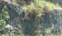 Wire Mesh_Aug 2012