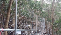 GE201327_Rockfall Barrier